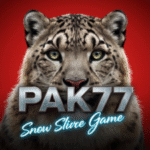 PAK77 Game